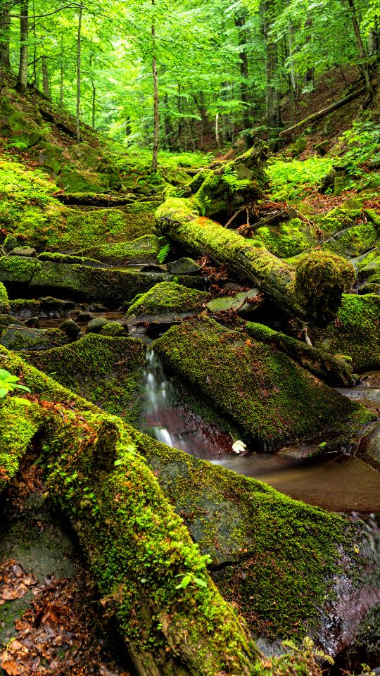 bieszczadzki park narodowy wycieczki po parkach narodowych polski parki.pl