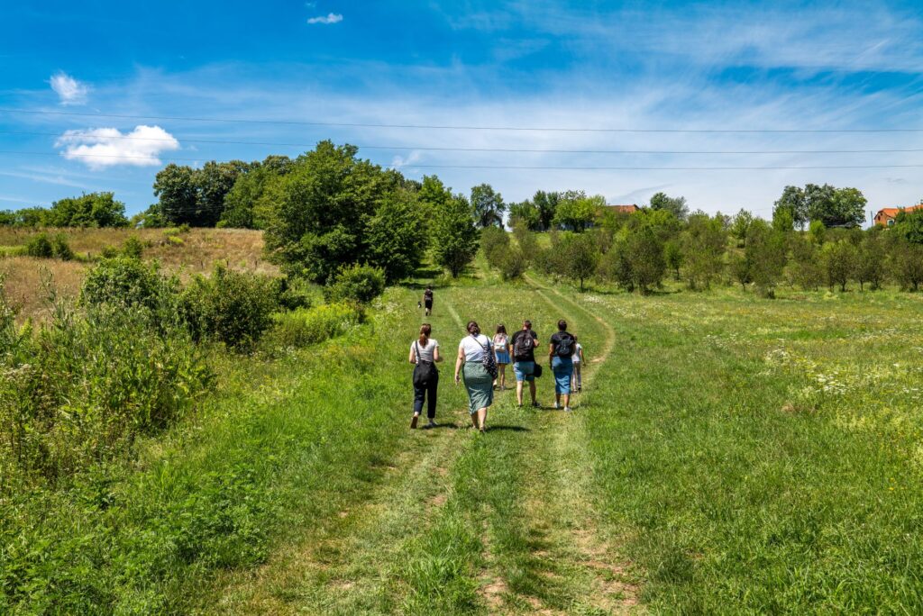 group hiking on sunny day in croatian countryside